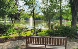 Memory Park pond.