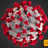 Coronavirus image