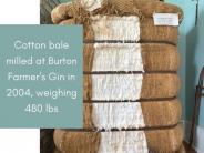 Cotton Bale Burton Farmers Gin