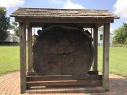 Log cutout at Fernland Historical Park.