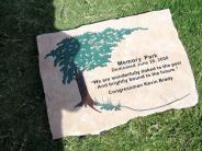 Kevin Brady stone