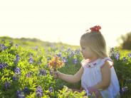 Bluebonnet Time