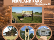 11. Fernland Historical Park