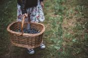 Picking Berries is the best!