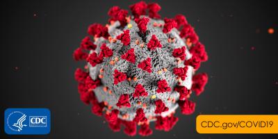 Coronavirus image